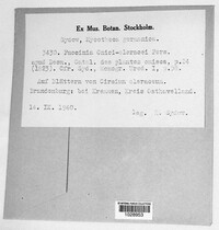 Image Associated With the Occurence